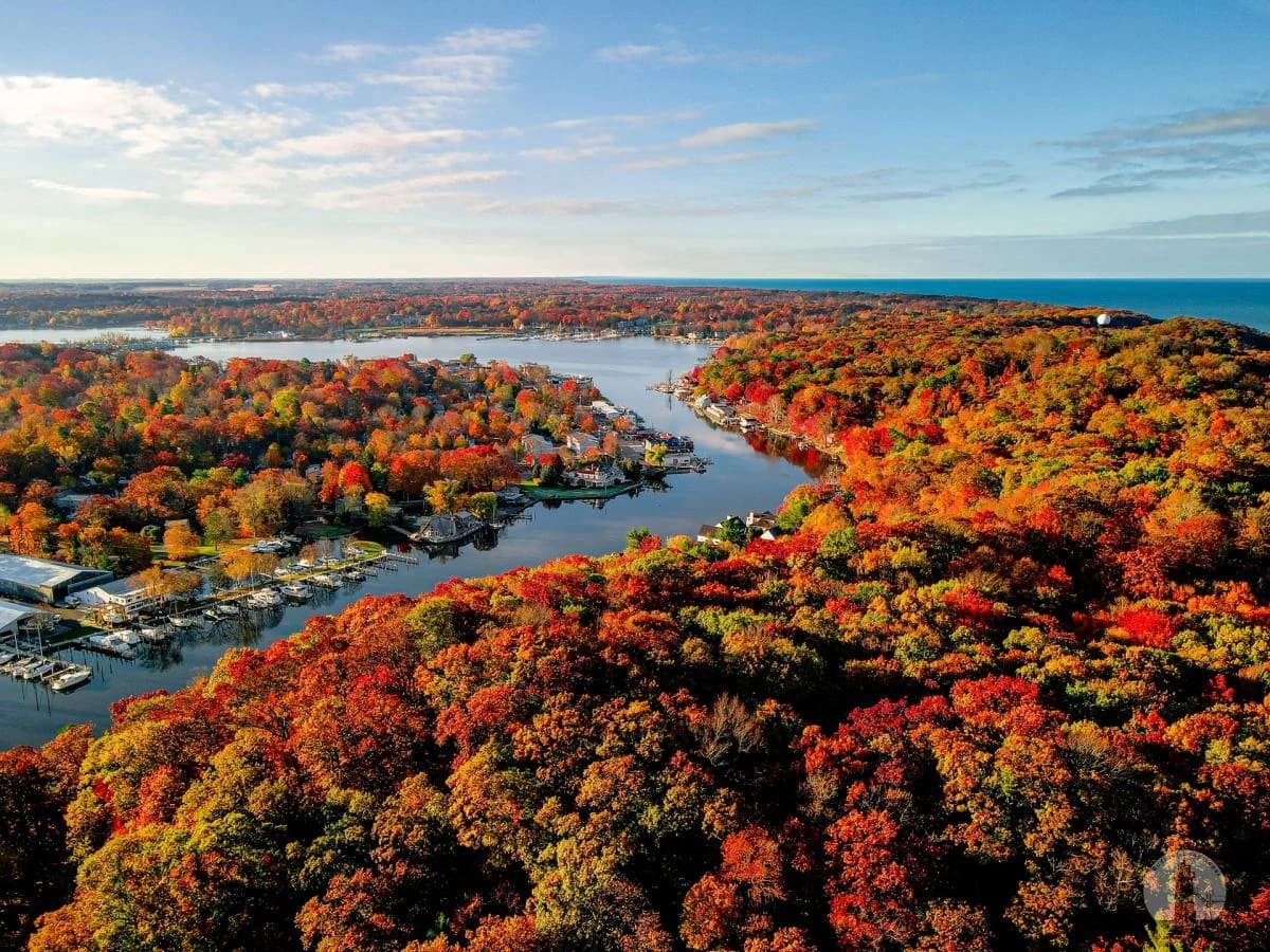 An autumn landscape surrounding a lake in West Michigan